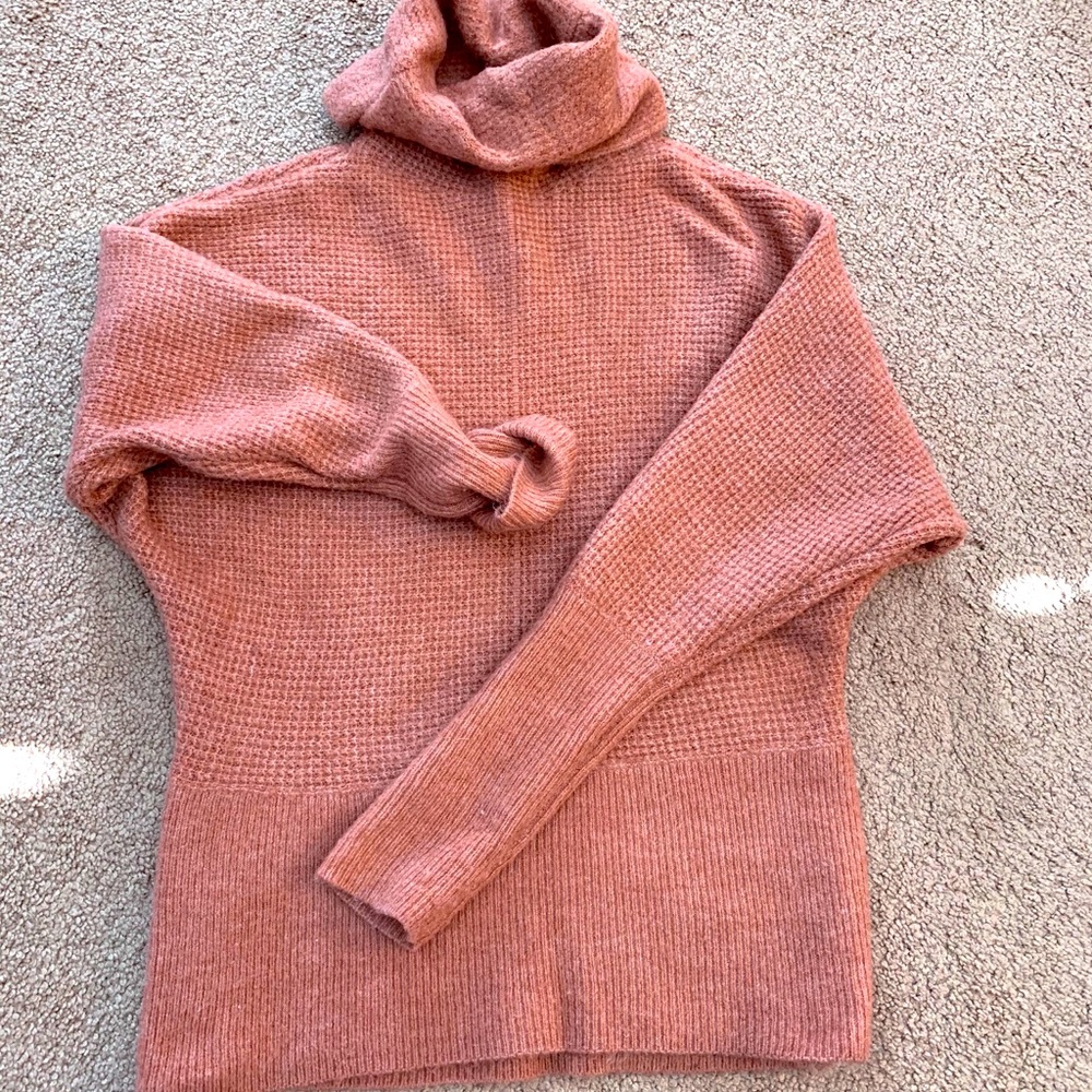 Good Condition Express T-Neck Sweater